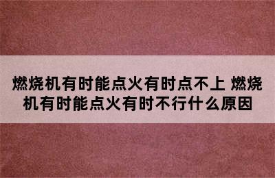 燃烧机有时能点火有时点不上 燃烧机有时能点火有时不行什么原因